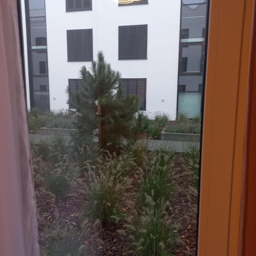 Apartment Orlando W Porto 350m Od Morza Leba